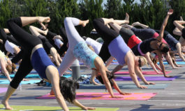 FORMAZIONE PER ISTRUTTORI DI GINNASTICA FINALIZZATA ALLA SALUTE E AL FITNESS A TORINO