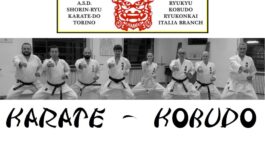 L'ASD SHORIN RYU KARATE DO TORINO SU OKINAWA TIMES!